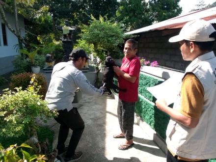 Rapat koordinasi tim tisira dan Pelaksanaan Vaksinasi Rabies